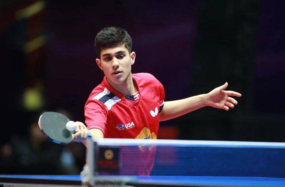 6天改写乒坛剧本！樊振东空降德甲，让欧洲俱乐部尝到顶流红利